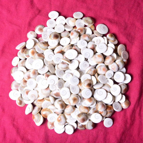 Gomati Chakras - Image 3