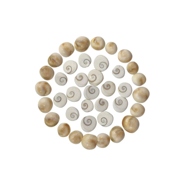 Gomati Chakras