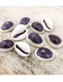 Blue Cowrie Shells (Gavva)