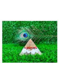 Gomati Chakra special Organ Pyramid