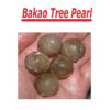 Bakao Tree Pearl